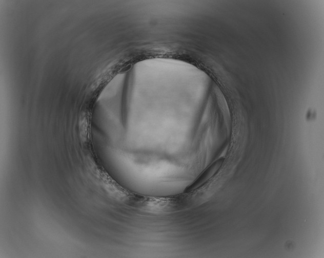 X0000114530720200911091111