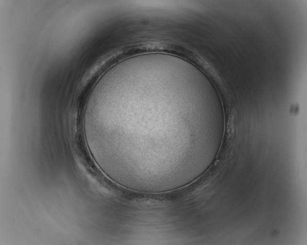 X0000114530722200911091110