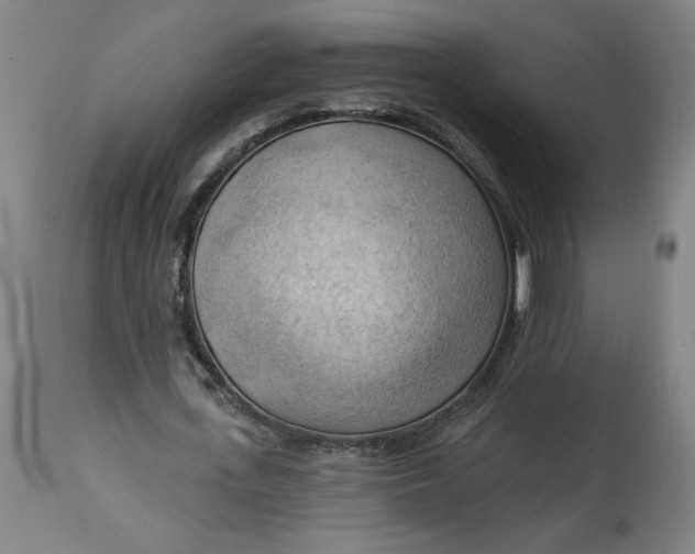 X0000114530723200911091110