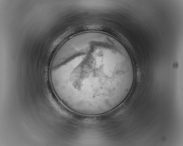 X0000114530725200911091110
