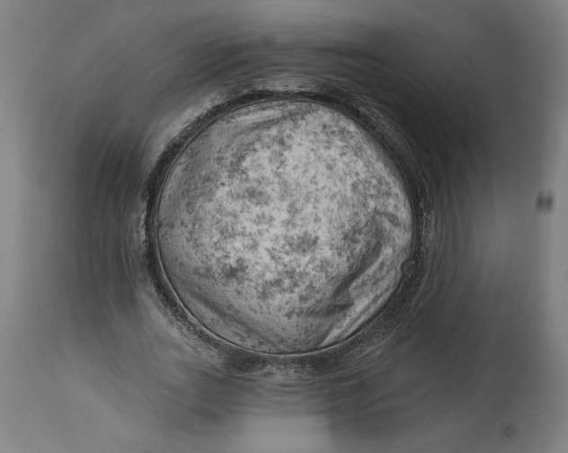 X0000114530727200911091110