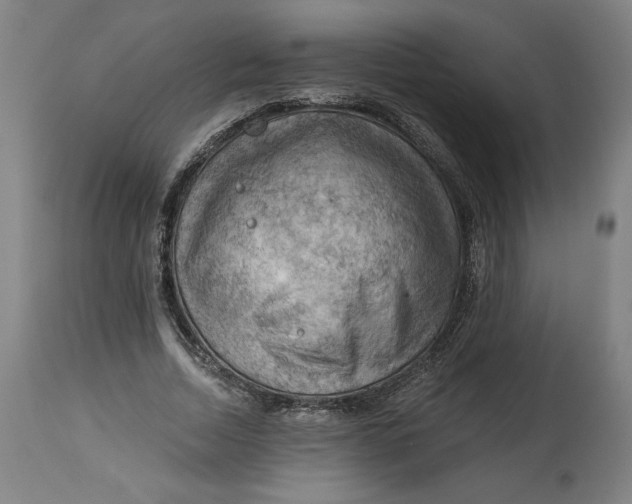 X0000114530730200911091110