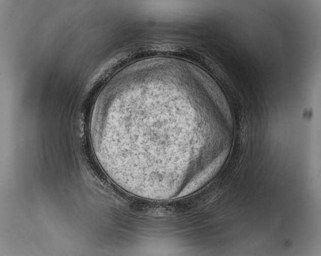 X0000114530731200911091110