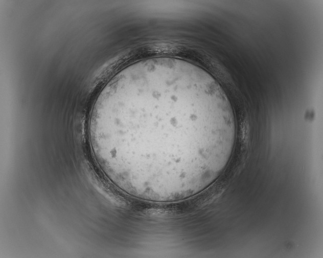 X0000114530733200911091110