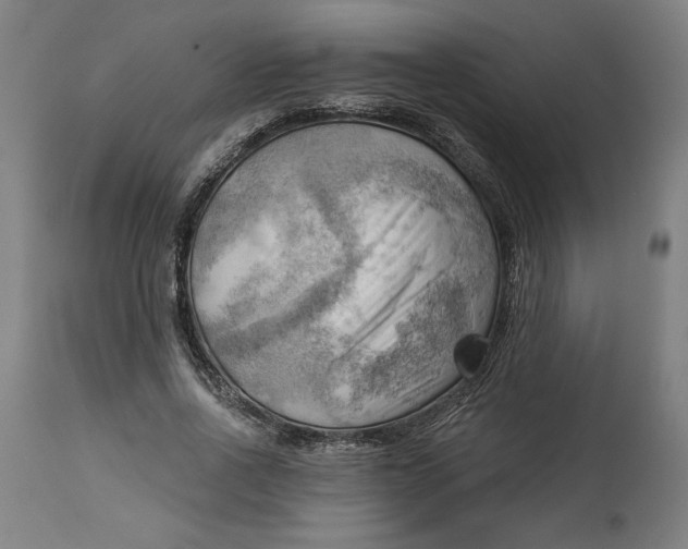 X0000114530734200911091110