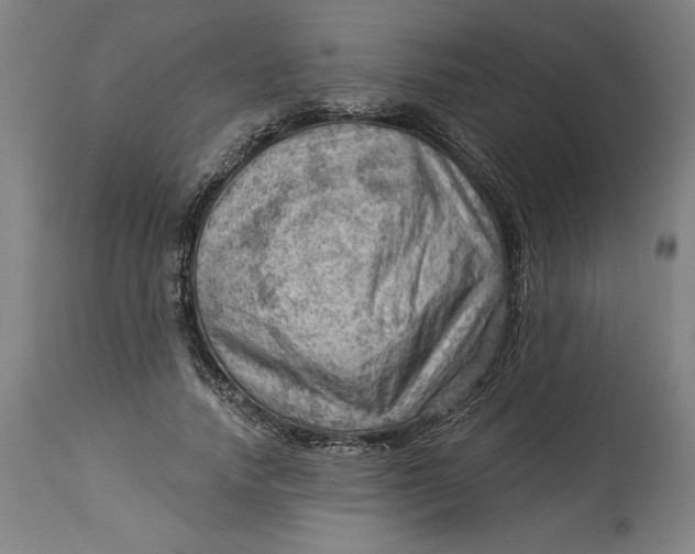 X0000114530738200911091110