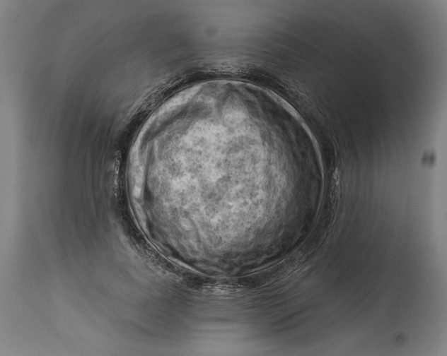 X0000114530739200911091110