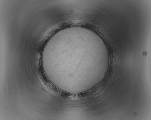 X0000114530742200911091110