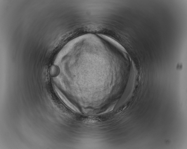 X0000114530743200911091110