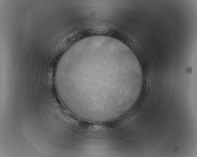 X0000114530745200911091110
