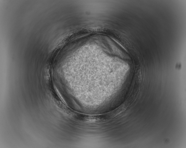 X0000114530746200911091110