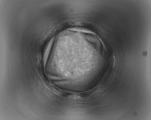 X0000114530747200911091110