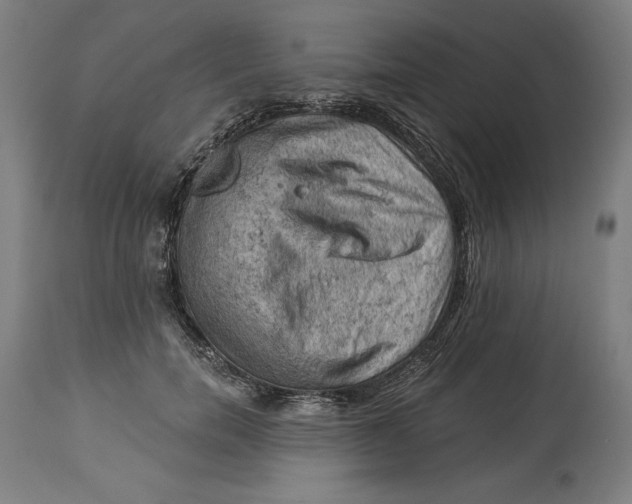 X0000114530750200911091110