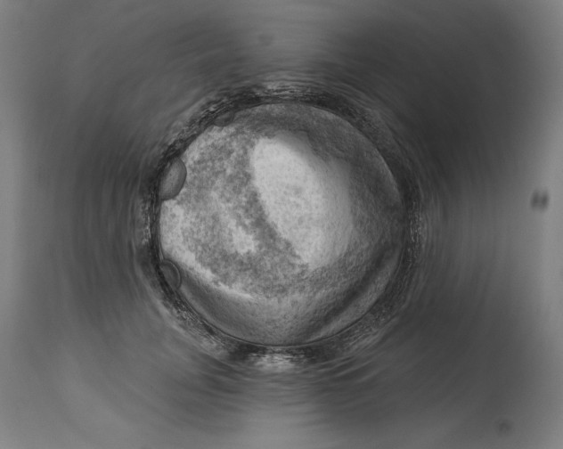 X0000114530751200911091110