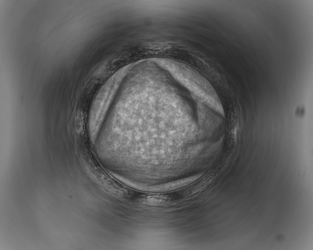 X0000114530758200911091111
