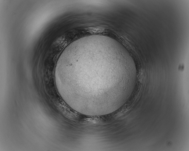 X0000114530763200911091111
