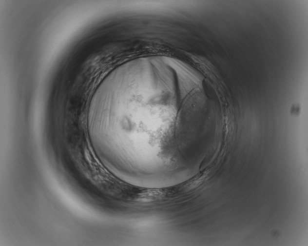 X0000114530765200911091111