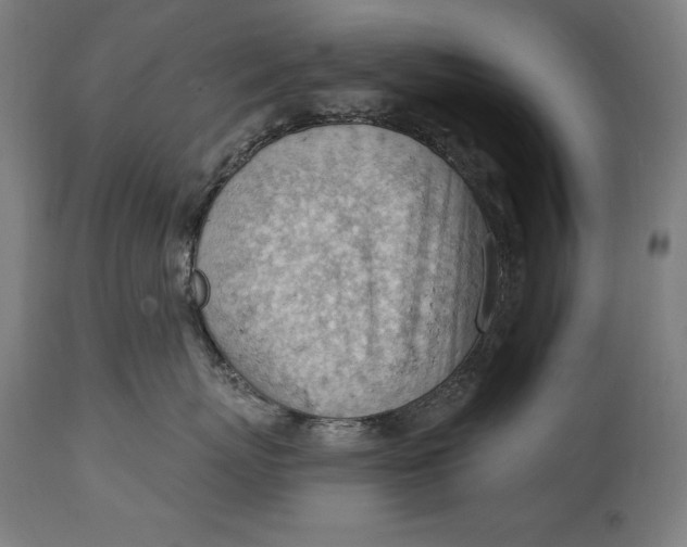 X0000114530767200911091111