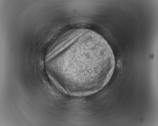 X0000114530771200911091110