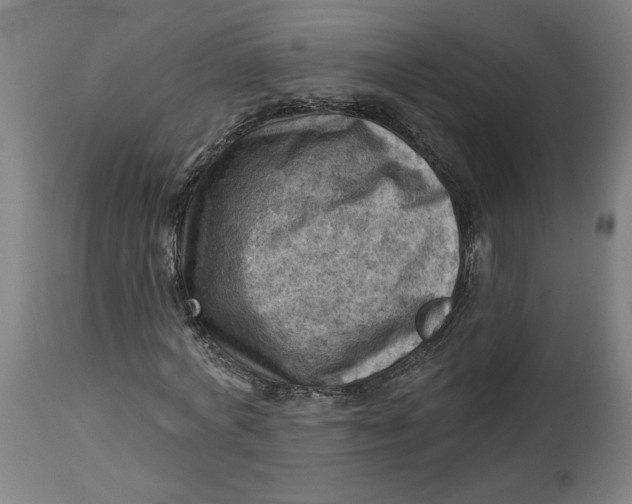 X0000114530772200911091110