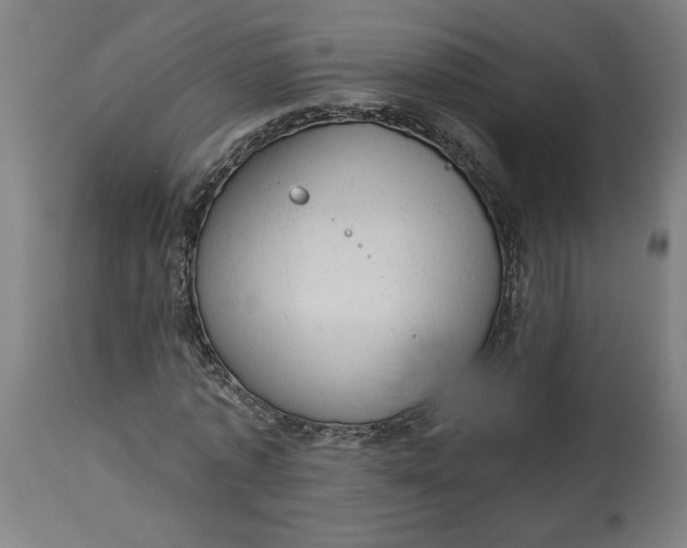 X0000114530773200911091110