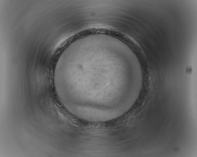 X0000114530775200911091110