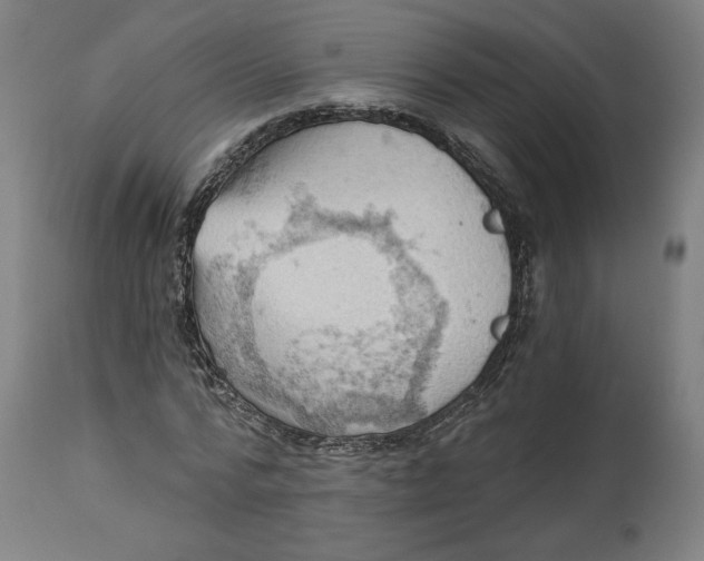 X0000114530776200911091110