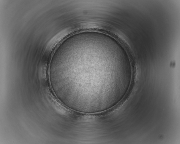 X0000114530777200911091110