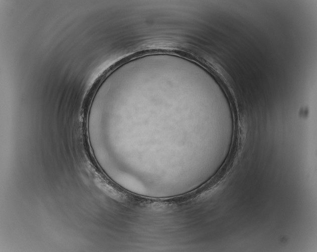 X0000114530779200911091110