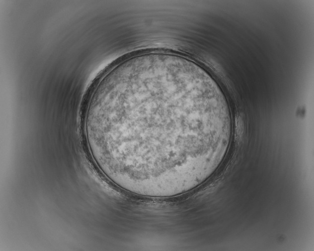 X0000114530780200911091110
