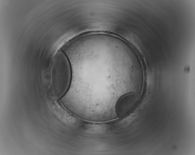 X0000114530781200911091110