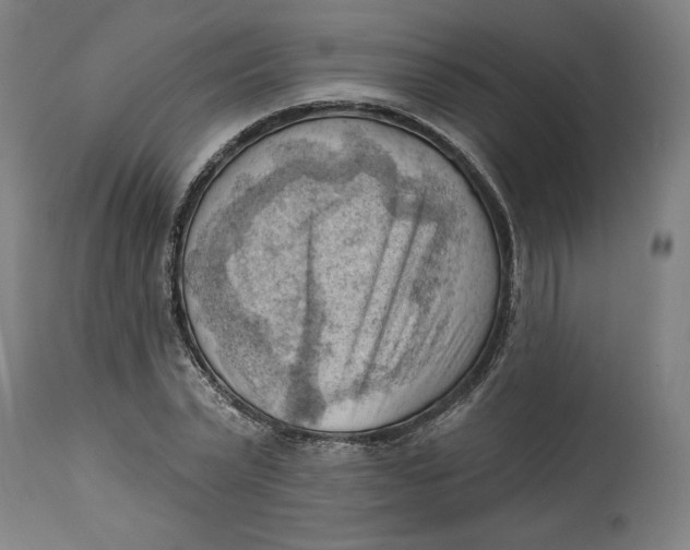 X0000114530783200911091110