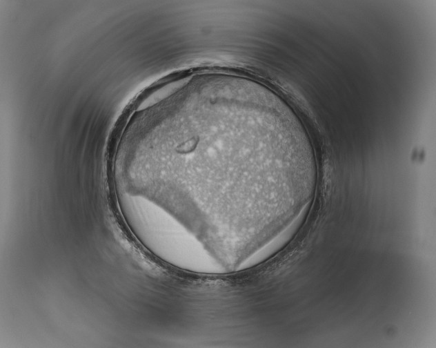 X0000114530784200911091110