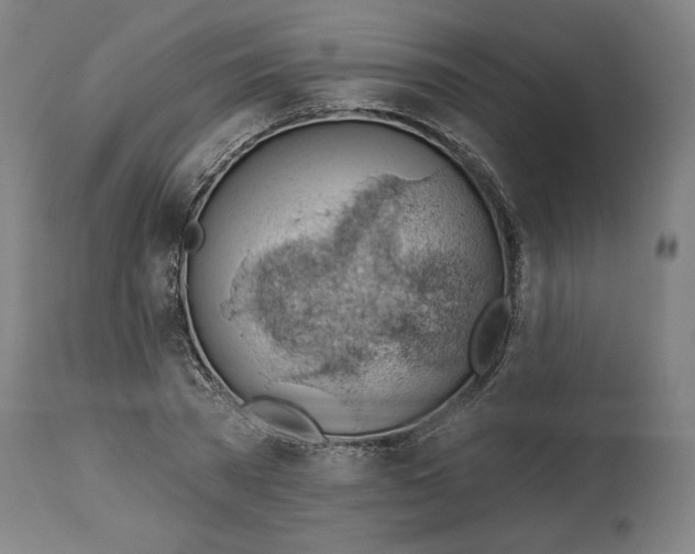 X0000114530785200911091110