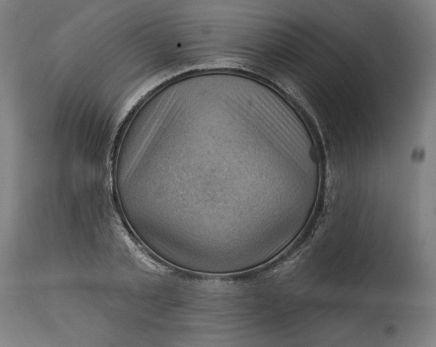 X0000114530789200911091110