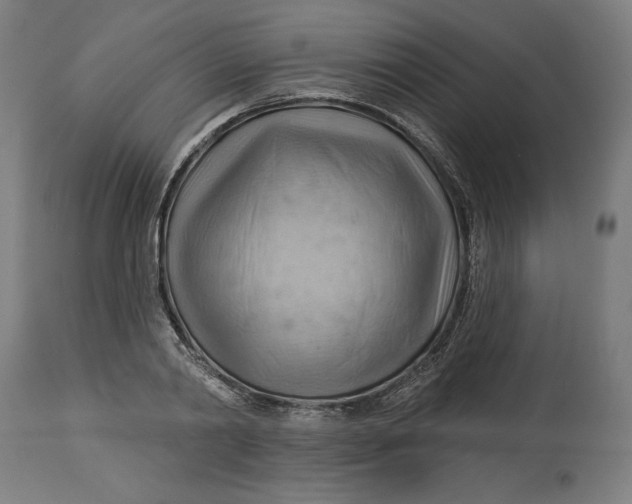 X0000114530790200911091110