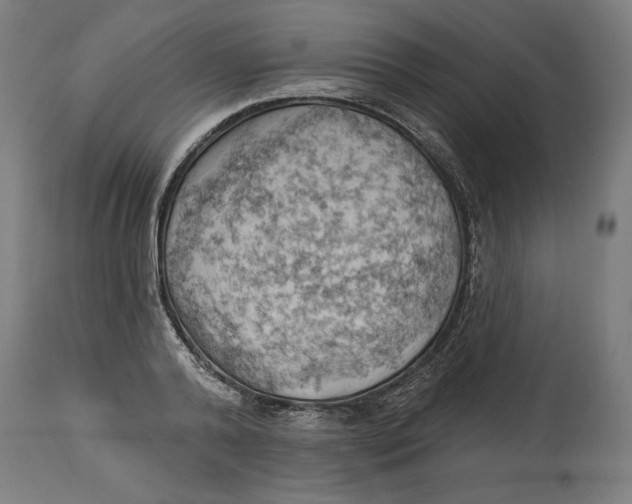X0000114530792200911091109