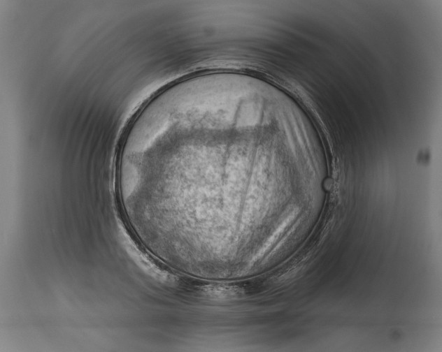 X0000114530795200911091109