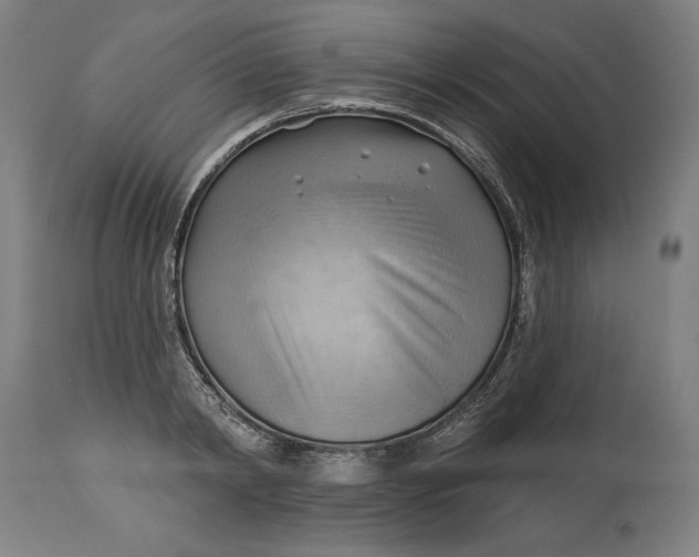 X0000114530798200911091109