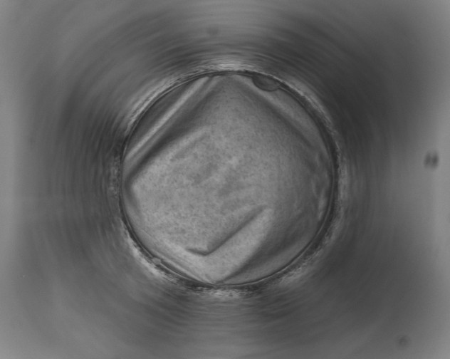 X0000114530801200911091109