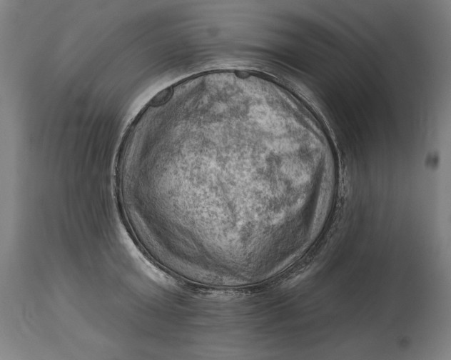 X0000114530803200911091109
