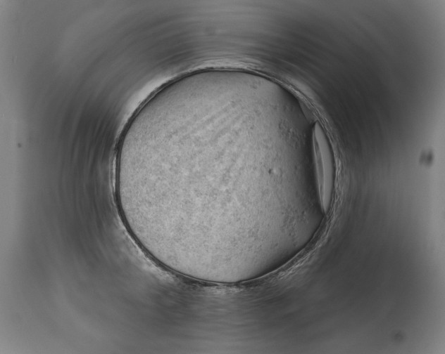 X0000114530804200911091109