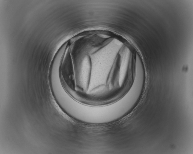 X0000114530805200911091109
