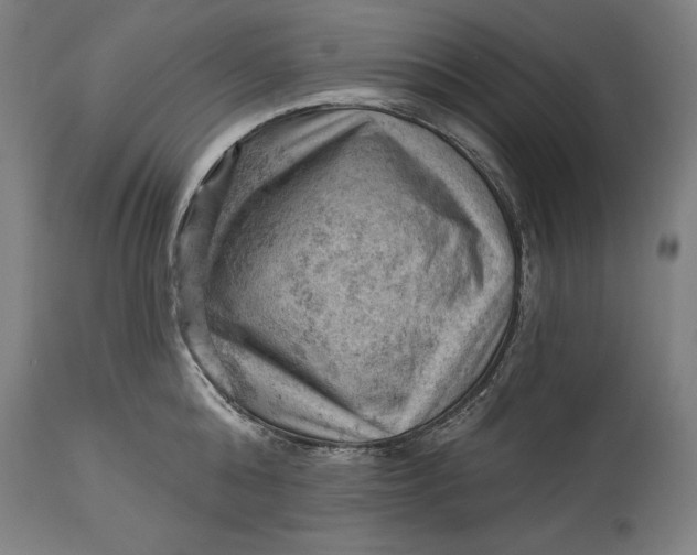 X0000114530808200911091109