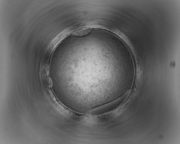 X0000114530809200911091109