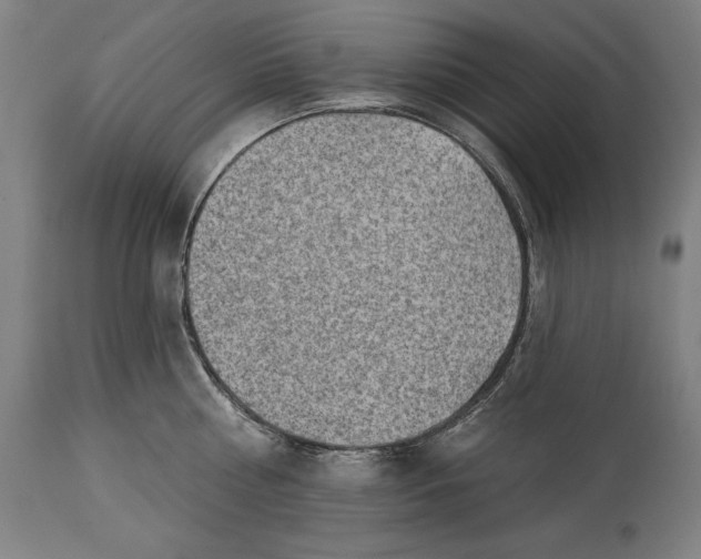 X0000114530810200911091109
