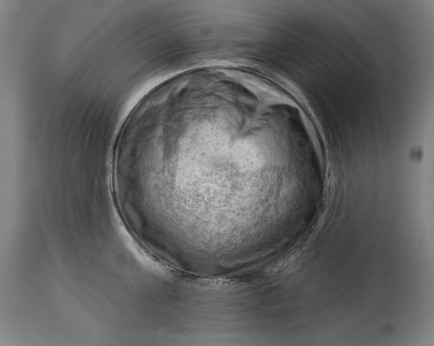 X0000114530811200911091109