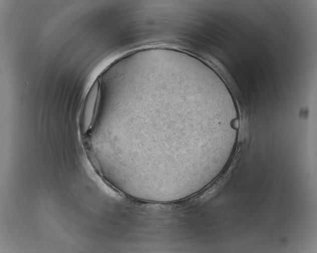 X0000114530812200911091109