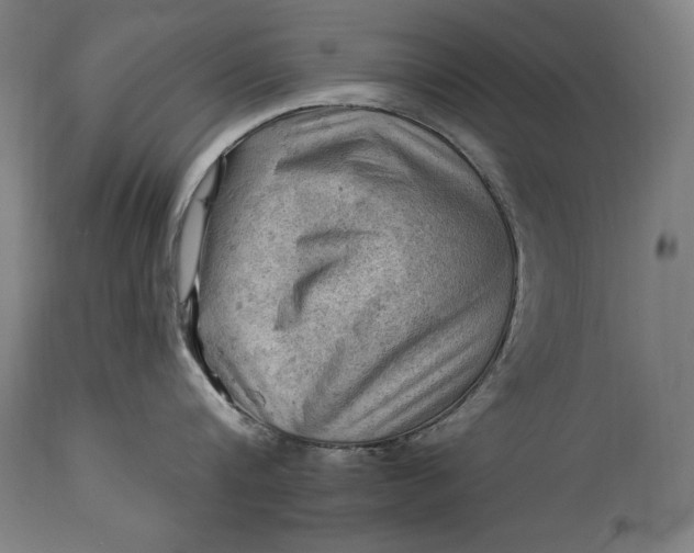 X0000114530816200911091109