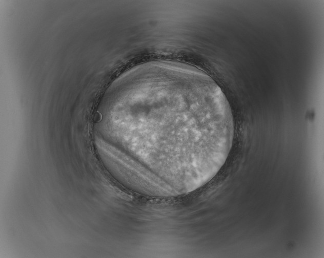 X0000114530817200911091108